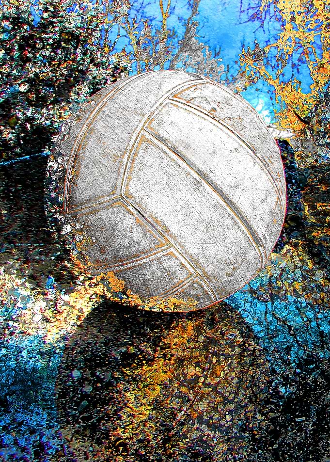 Volleyball art print w6