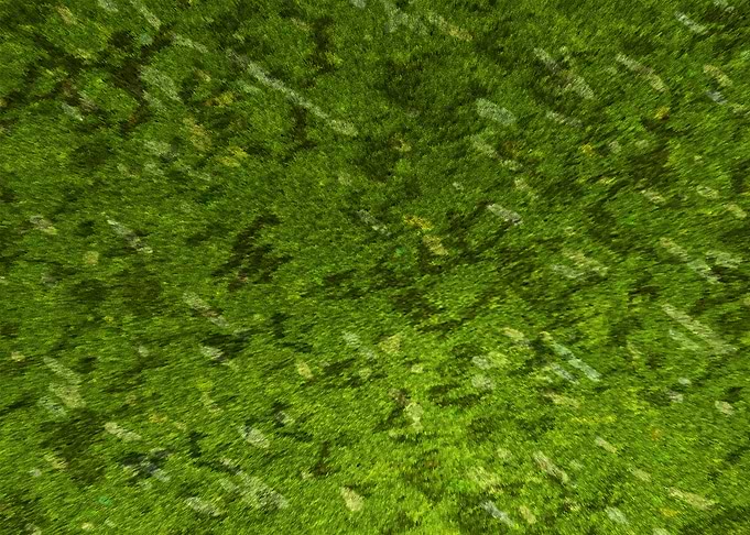 Green Foliage
