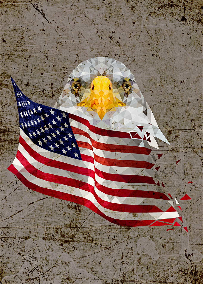 USA Bald Eagle