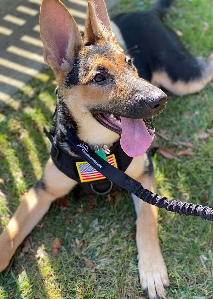 Zoey 2