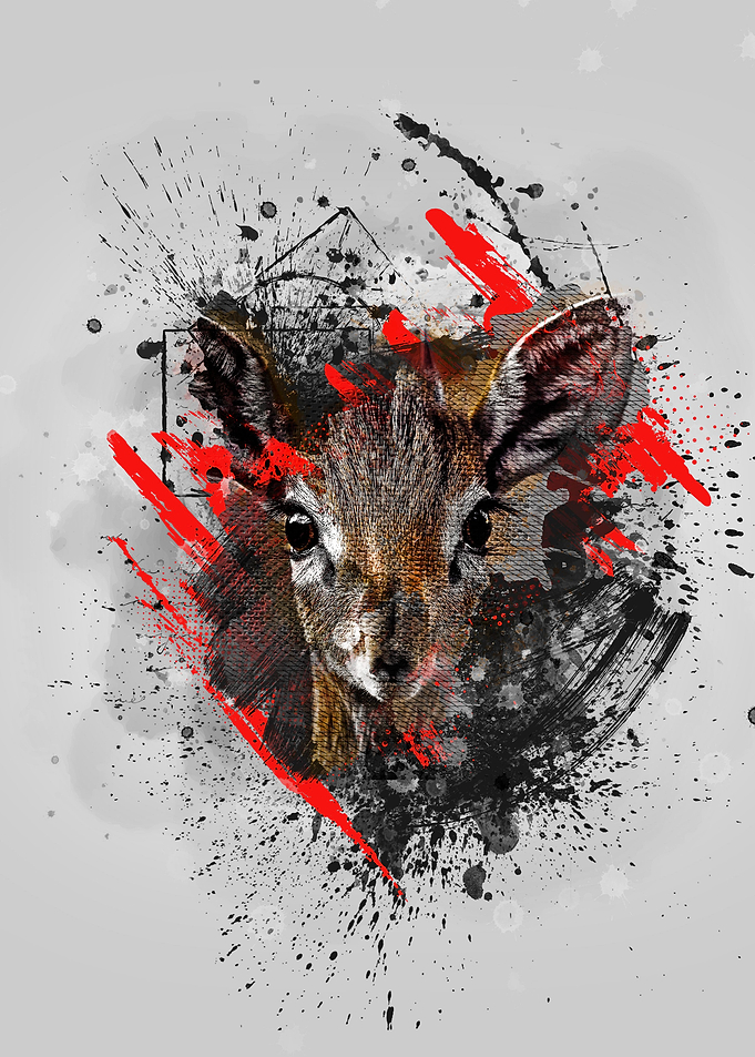Antelope