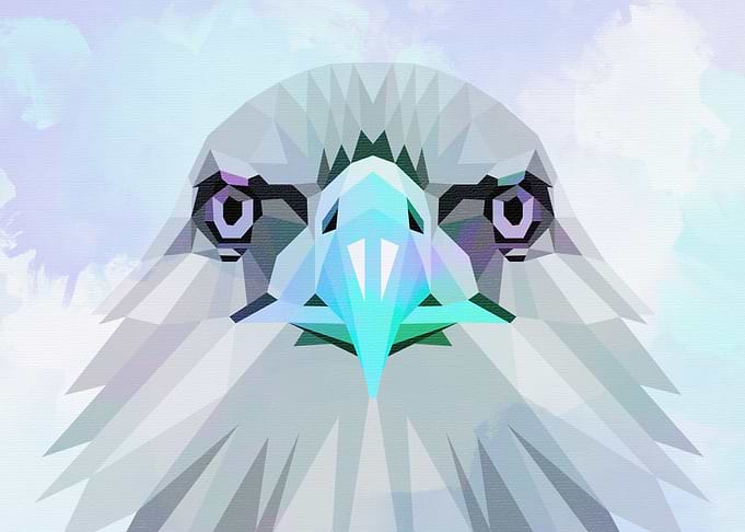 Blue Bald Headed Eagle