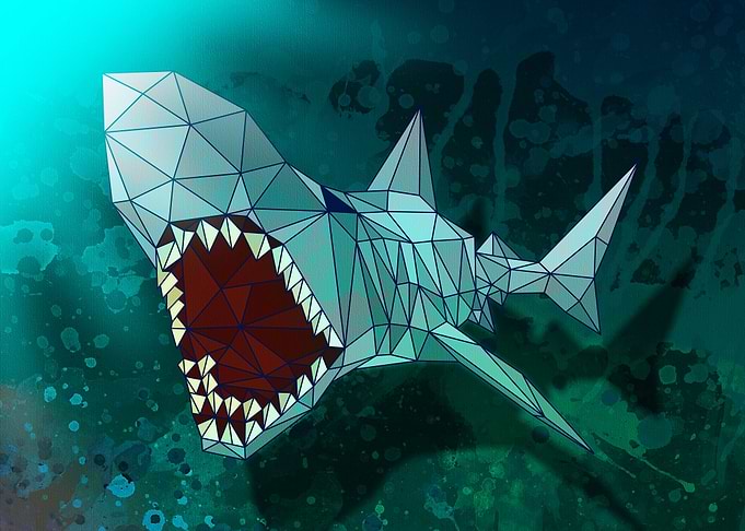 Shark