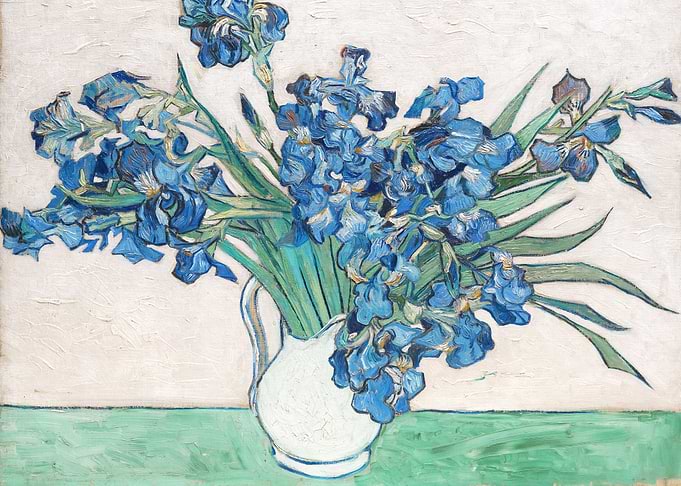 Irises