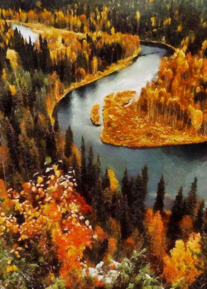 Autumn colored forest