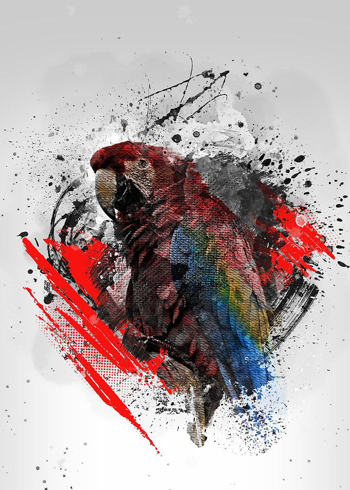 Parrot