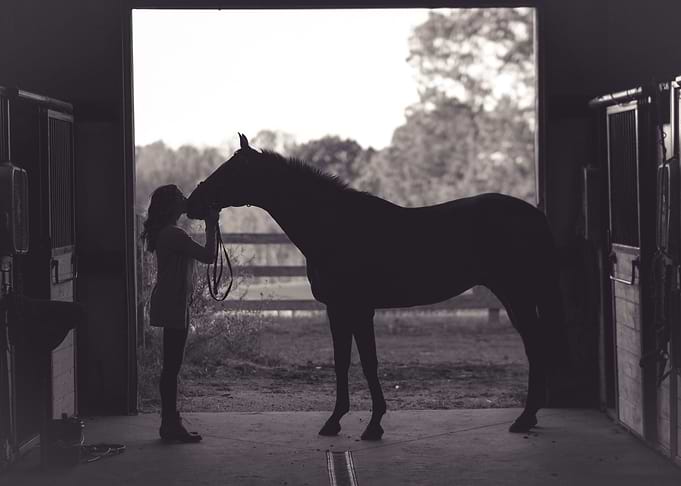 Horse and Girl