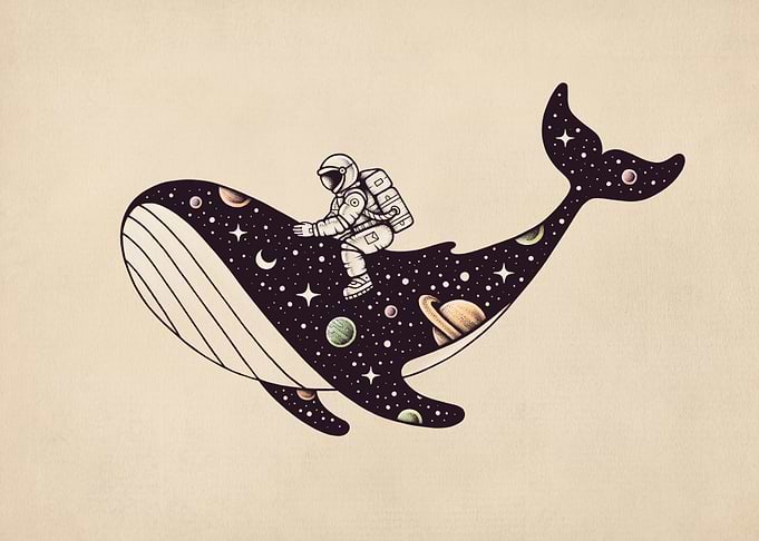 Stellar Ride