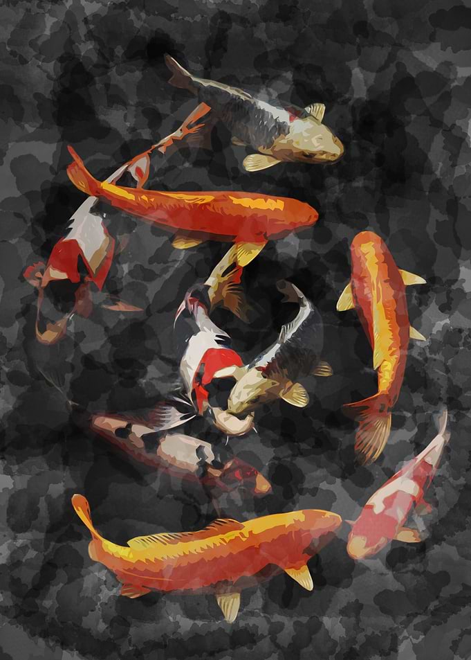 dedicated to koi