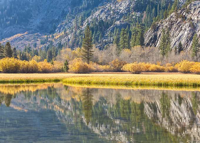 Silver Lake Reflections