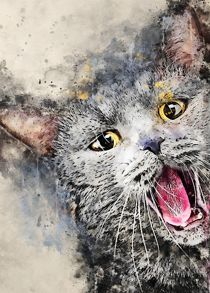 The Crooked Cat