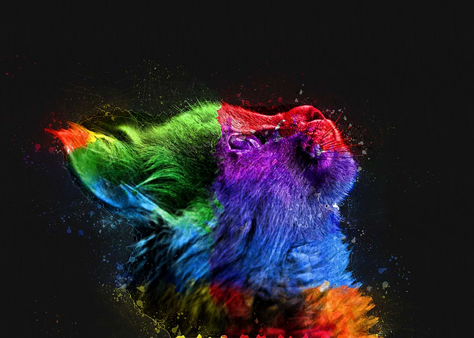 Rainbow Dream Kitten