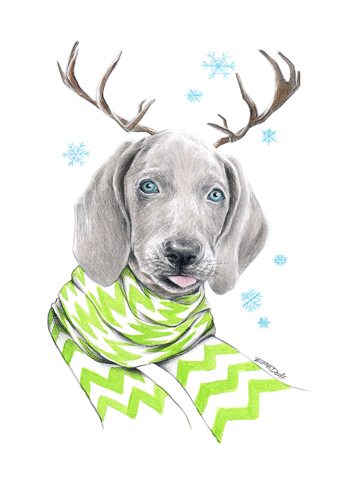 Cute weimaraner dog puppy