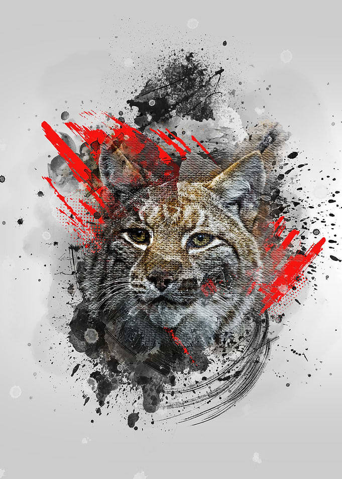 Lynx