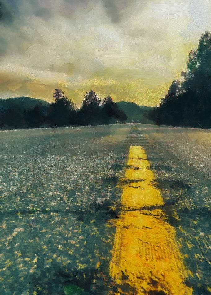 Road in the forest