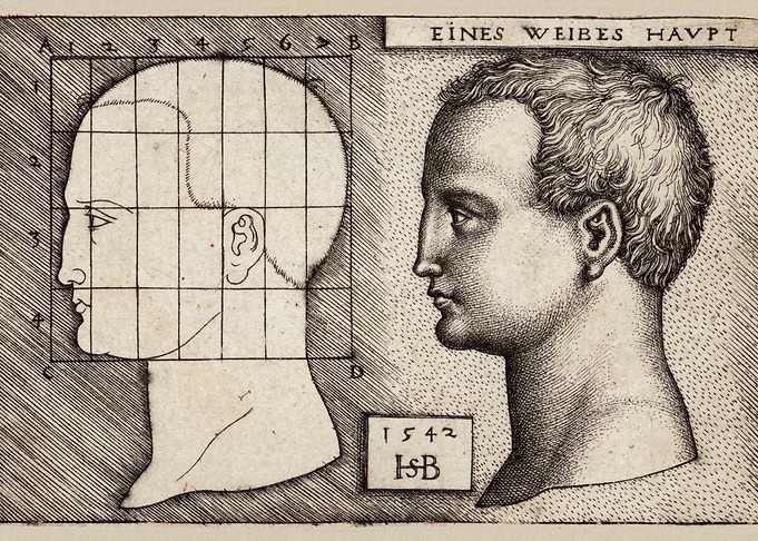 Female Head Anatomy