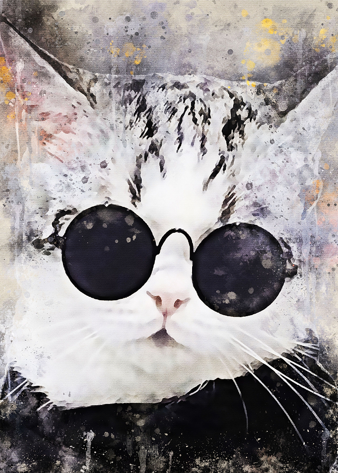 cute cats