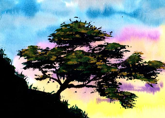 Summer Tree Hill