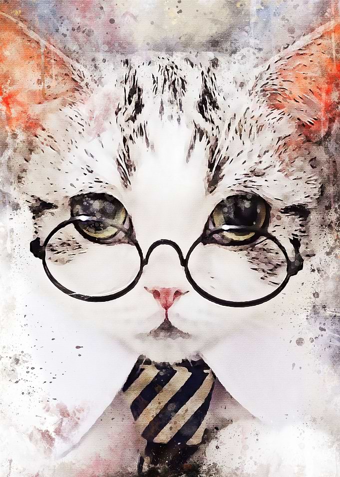 The Cat