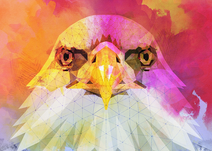 Bald Headed Eagle