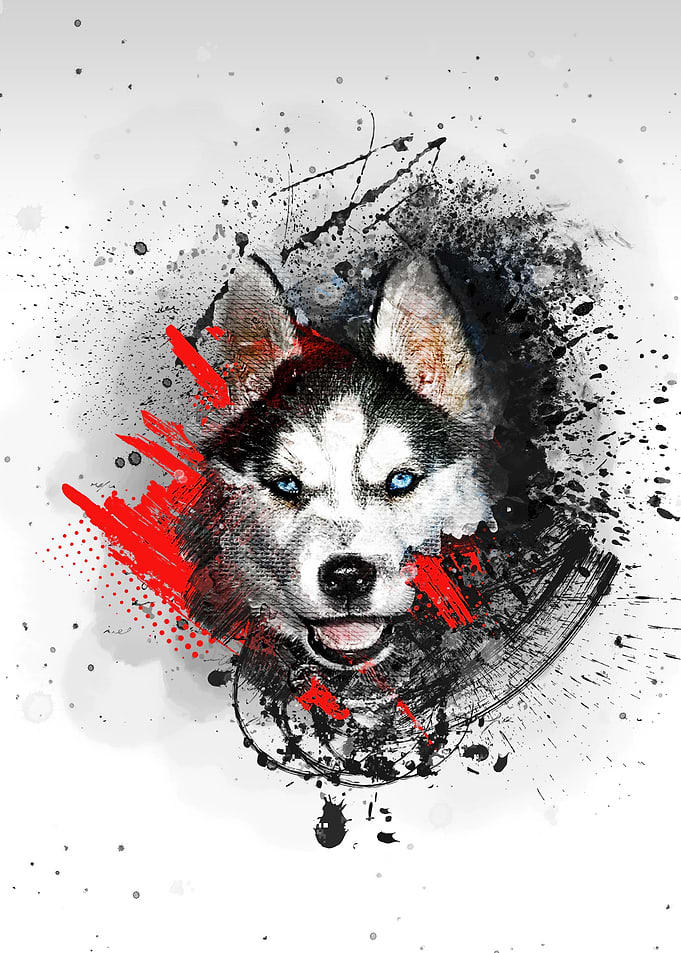 Husky