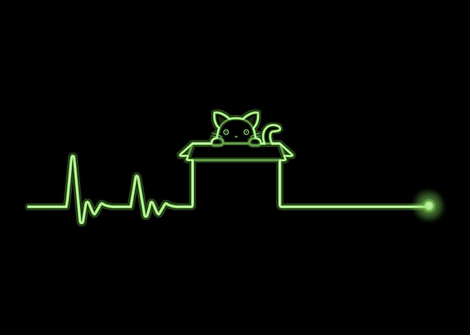 Schrodingers Heartbeat