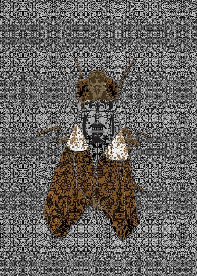 Deco House Fly