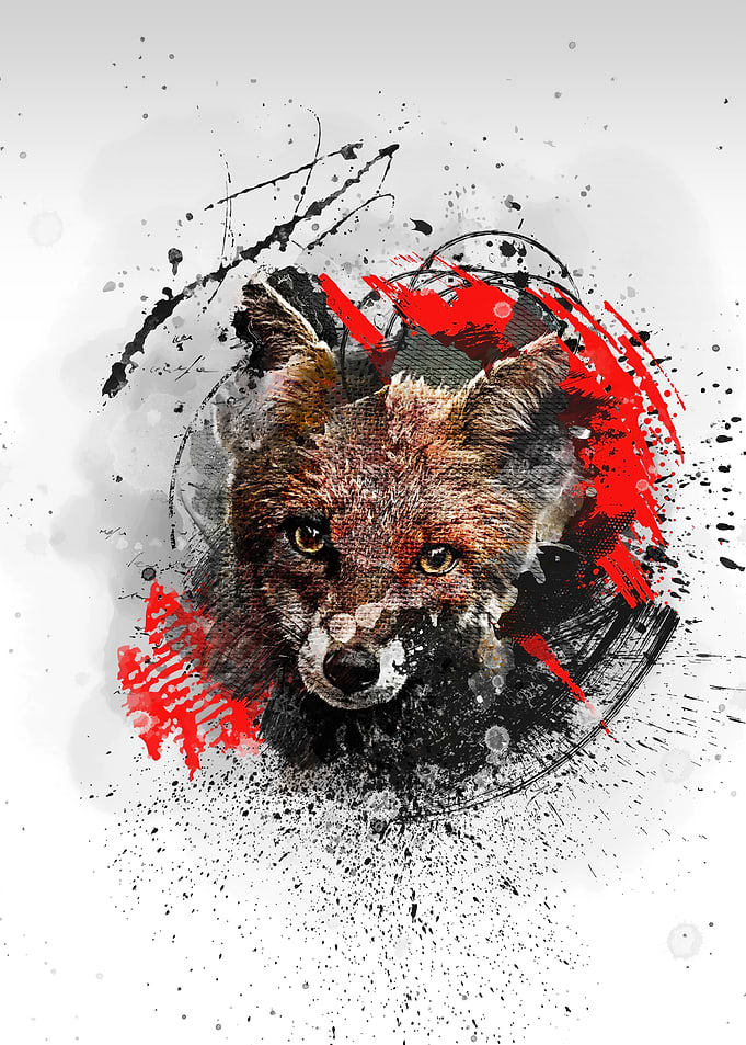 Fox