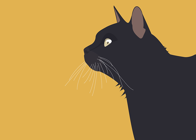Berlioz