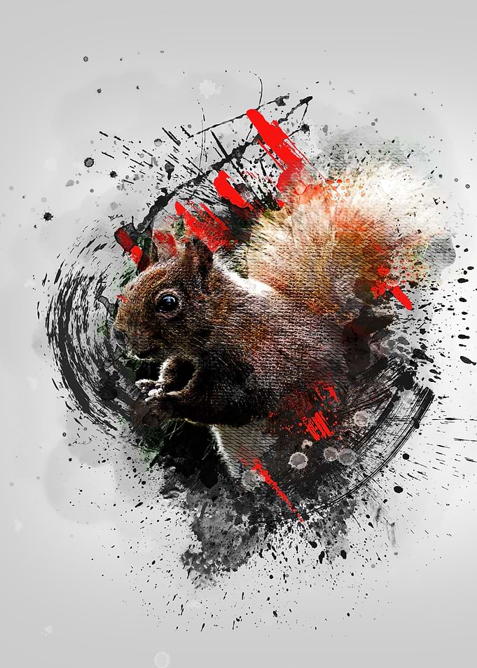 Squirrel