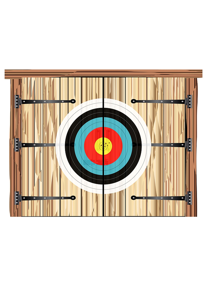 Barn Doors With Target
