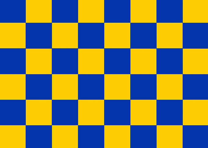 Flag Of Surrey