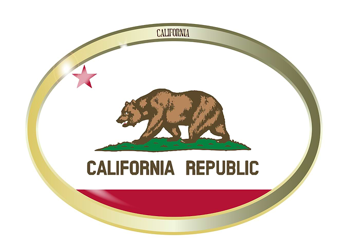 California State Flag