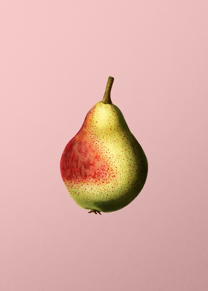 Vintage Fruit on Pink