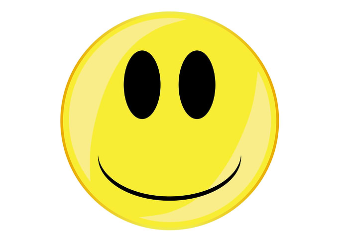 Glum Smile Face