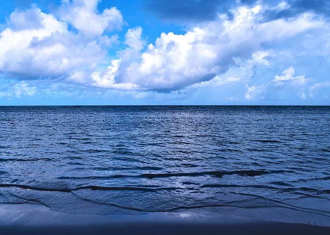 Ocean Vibes