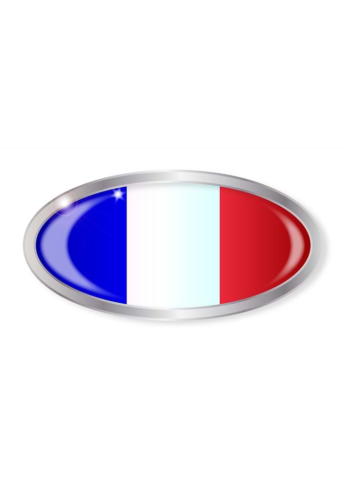 French Flag Oval Button