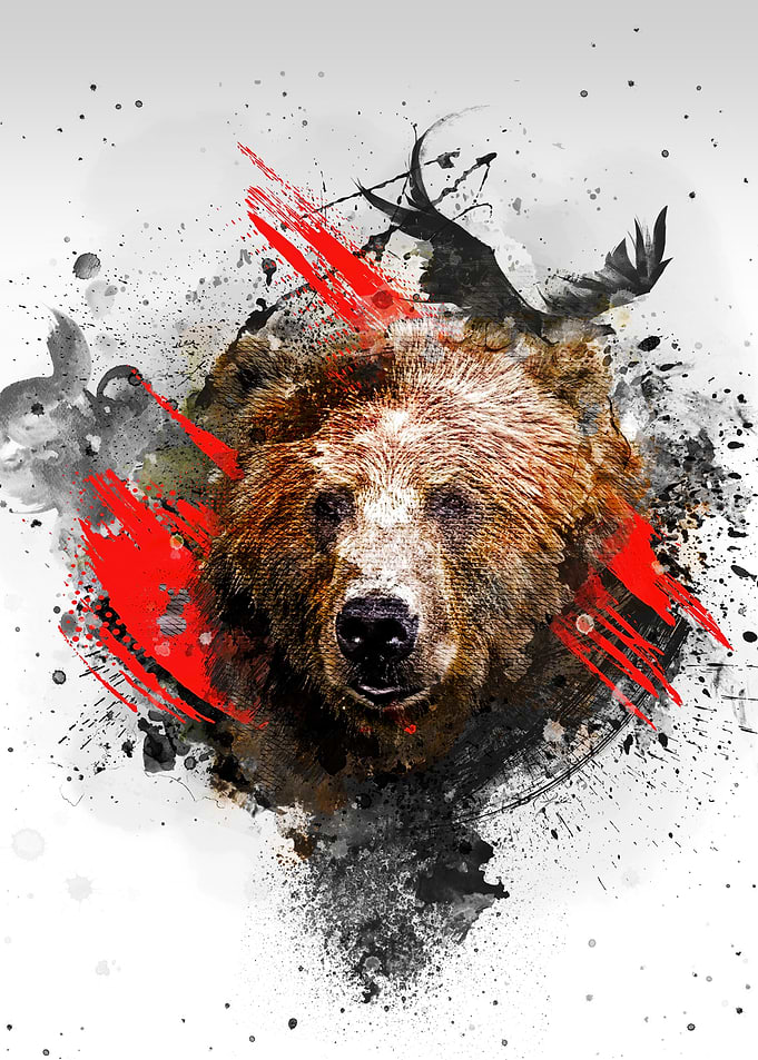 Bear