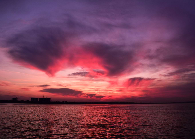 Rose Sunset