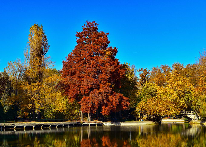 Autumn Colors