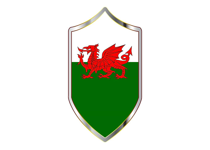 Welsh Flag Crusader Shield