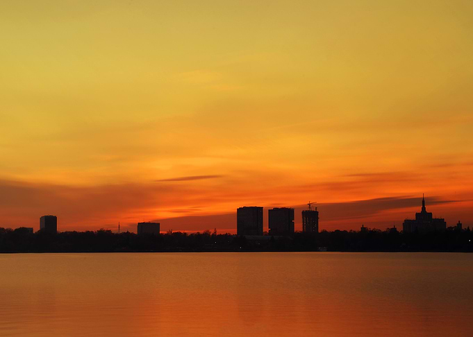 Orange World