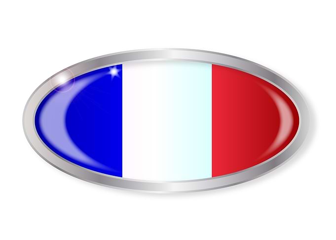French Flag Oval Button