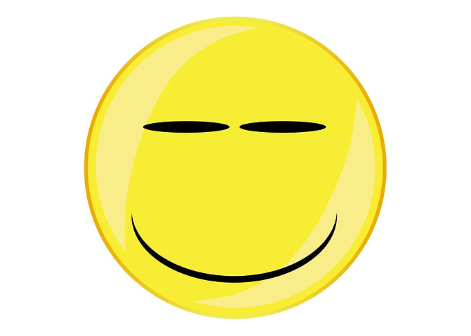 Smirk Smile Face