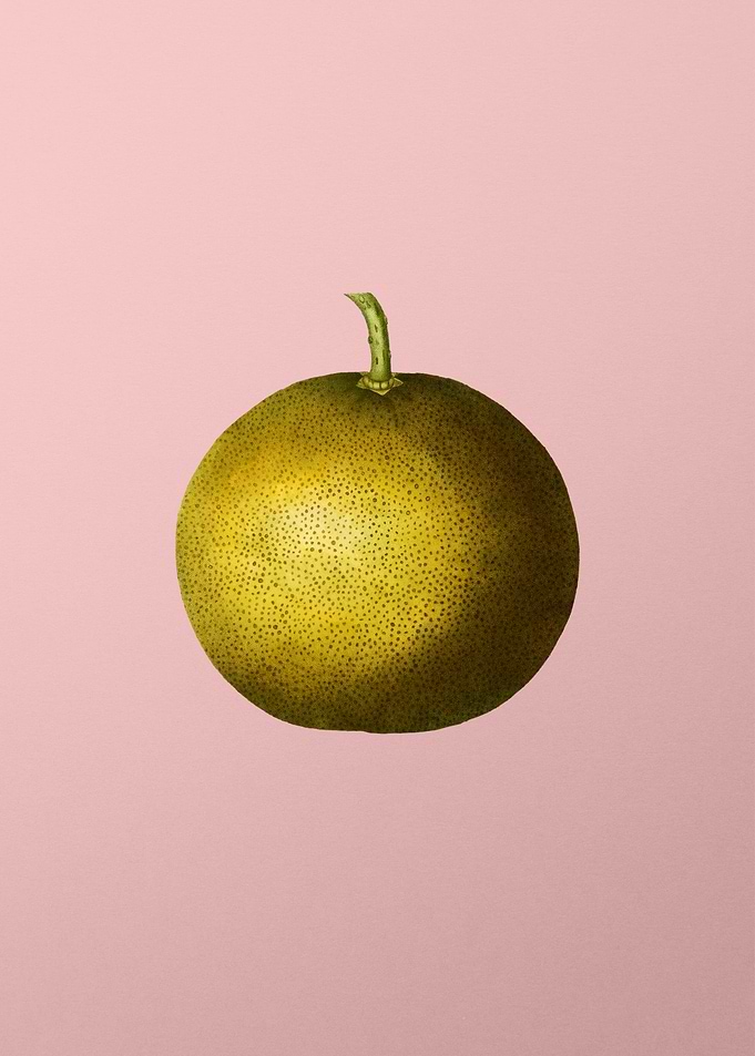 Vintage Fruit on Pink