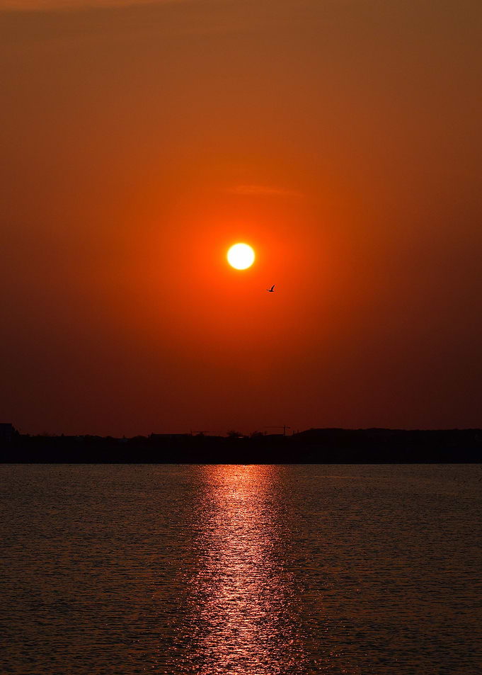 Perfect Sunset