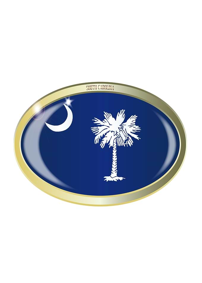 South Carolina State Flag