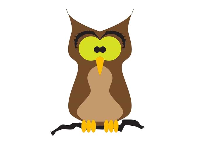 Cartoon Owl