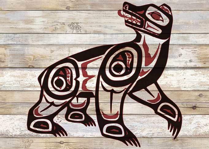 Haida Nature Bear