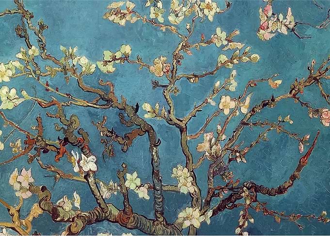 Van Gogh Almond flowersHD